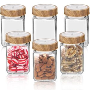 Treo woody cube jar 310ml . Set of 6